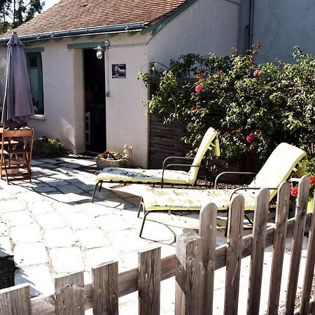 Villa La Tanière du LoupBlanc, 8mn du Zoo de Beauval à Châteauvieux Extérieur photo